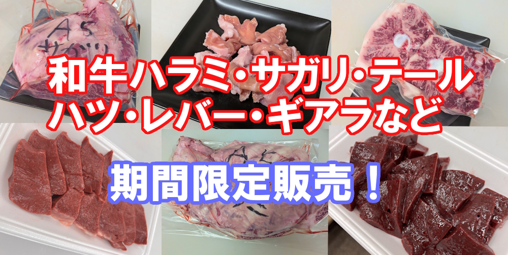 期間限定ホルモン販売
