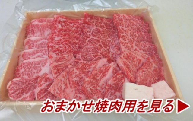 おまかせ焼肉